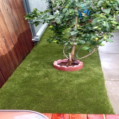 Grass Carpet San Marcos, California Dog Hospital, Beautiful Backyards