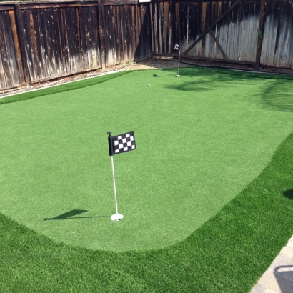 Grass Carpet Winter Gardens, California Paver Patio, Backyard Design