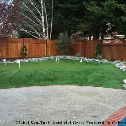 Grass Turf Bostonia, California Landscaping, Small Backyard Ideas