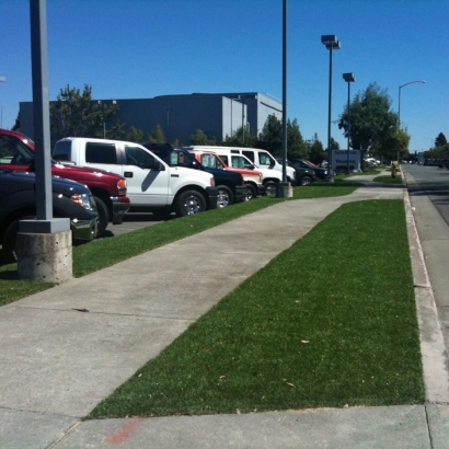 Grass Turf Casa de Oro-Mount Helix, California Backyard Playground, Commercial Landscape