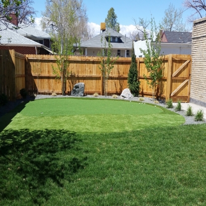 Grass Turf National City, California Putting Greens, Backyard Design