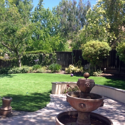 Grass Turf San Pasqual, California Home And Garden, Backyard Landscape Ideas