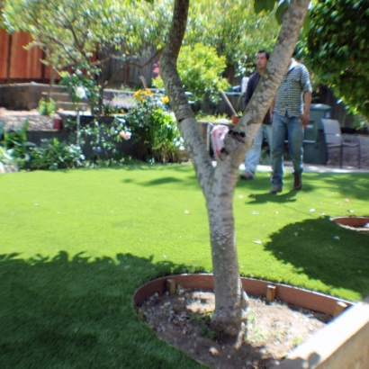 Green Lawn Alpine, California Home And Garden, Backyard Garden Ideas