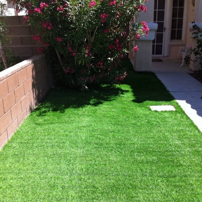 Green Lawn Borrego Springs, California Backyard Deck Ideas, Front Yard Design