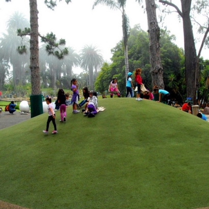 Green Lawn Borrego Springs, California Gardeners, Recreational Areas