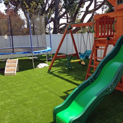 Green Lawn Boulevard, California City Landscape, Backyards