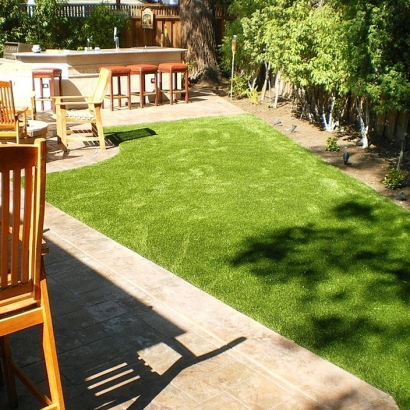 Green Lawn Lemon Grove, California Dogs, Small Backyard Ideas