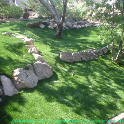 Green Lawn Spring Valley, California Landscape Ideas, Pavers