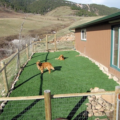 How To Install Artificial Grass Alpine, California Backyard Playground, Backyard