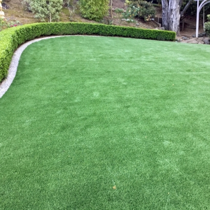 How To Install Artificial Grass Potrero, California Lawn And Landscape, Backyards