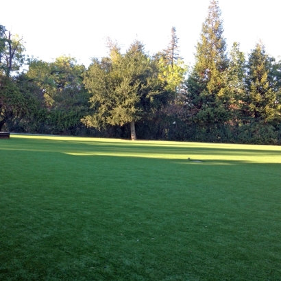 Installing Artificial Grass Lemon Grove, California Landscape Ideas, Recreational Areas