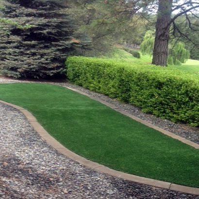 Lawn Services Alpine, California Lawn And Garden