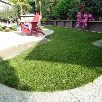Lawn Services Encinitas, California Gardeners, Small Backyard Ideas