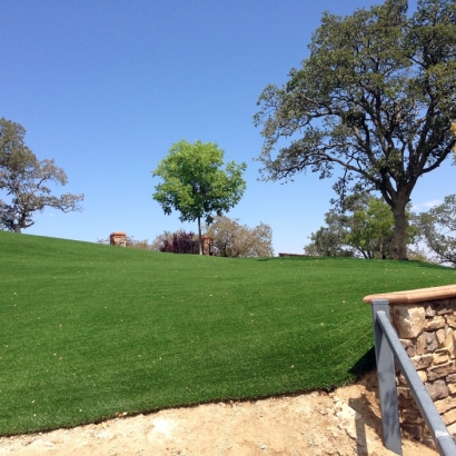 Lawn Services La Mesa, California Rooftop, Front Yard