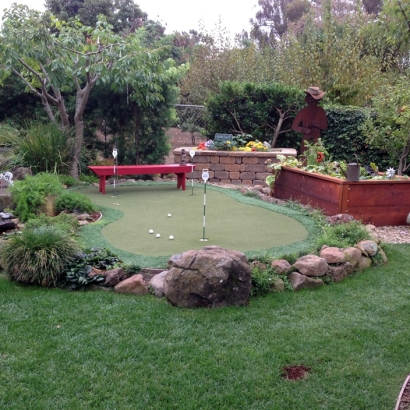 Lawn Services San Pasqual, California Rooftop, Backyard Makeover