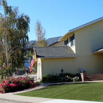 Outdoor Carpet Escondido, California Home And Garden, Front Yard Design