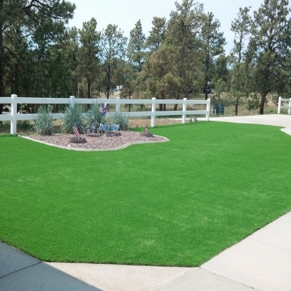 Outdoor Carpet Rancho San Diego, California Garden Ideas, Front Yard Landscaping Ideas
