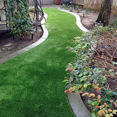 Outdoor Carpet Valley Center, California Lawn And Garden, Backyard Landscaping