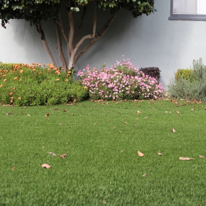 Outdoor Carpet Winter Gardens, California Landscaping, Small Front Yard Landscaping