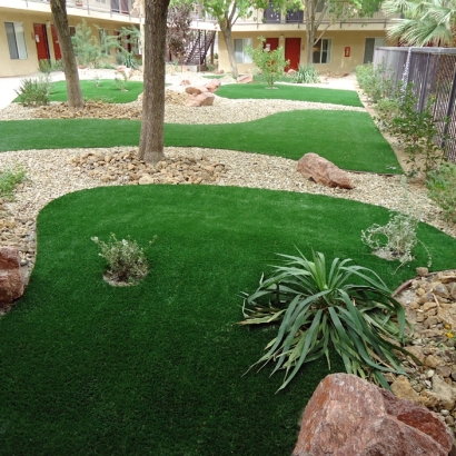 Outdoor Carpet Winter Gardens, California Backyard Playground, Commercial Landscape