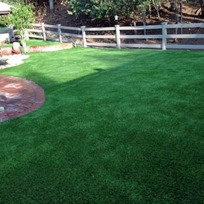 Plastic Grass Del Mar, California Hotel For Dogs, Beautiful Backyards