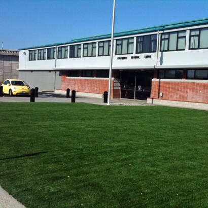 Plastic Grass La Mesa, California Landscaping, Commercial Landscape