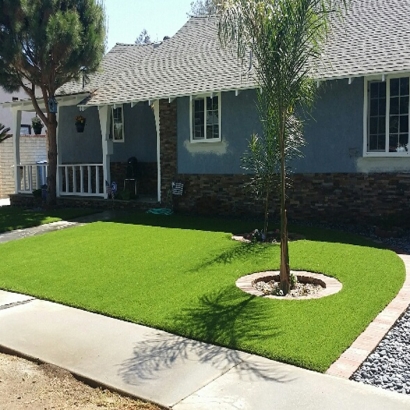 Plastic Grass Poway, California Rooftop, Front Yard Landscaping Ideas