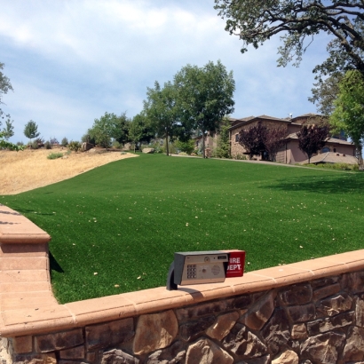Synthetic Grass Camp Pendleton South, California Roof Top, Front Yard Landscaping Ideas