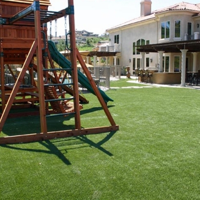 Synthetic Grass Casa de Oro-Mount Helix, California Design Ideas, Backyard Landscaping