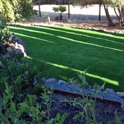 Synthetic Grass Cost Alpine, California Landscaping, Backyard Designs