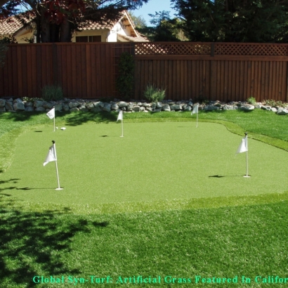 Synthetic Grass Cost Casa de Oro-Mount Helix, California City Landscape, Backyard Designs