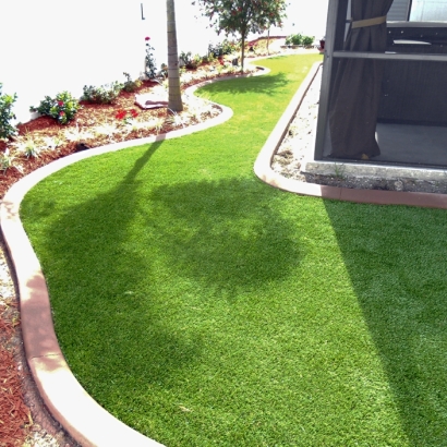 Synthetic Grass Cost Escondido, California Gardeners, Backyard