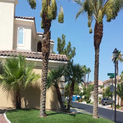 Synthetic Grass Cost Imperial Beach, California Design Ideas, Front Yard