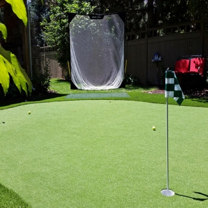 Synthetic Grass Cost Jamul, California Indoor Putting Greens, Backyard Designs