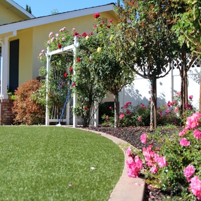 Synthetic Grass Cost Pine Valley, California Landscaping Business, Front Yard Design