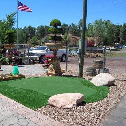 Synthetic Grass Cost Winter Gardens, California How To Build A Putting Green, Commercial Landscape