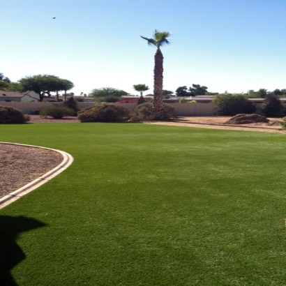 Synthetic Grass Eucalyptus Hills, California Lawns, Backyard Makeover