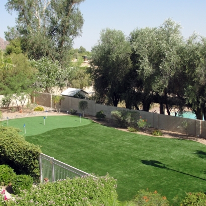 Synthetic Grass Fallbrook, California Backyard Putting Green, Backyard Design