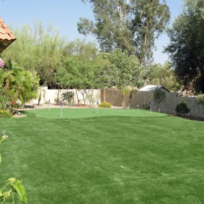 Synthetic Grass Fallbrook, California Backyard Putting Green, Backyard Design