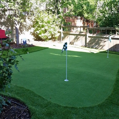 Synthetic Grass Poway, California Landscape Photos, Backyard