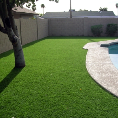 Synthetic Lawn Borrego Springs, California Landscape Rock, Beautiful Backyards