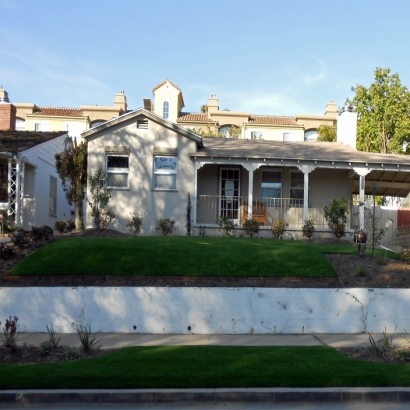 Synthetic Lawn Coronado, California City Landscape, Front Yard Ideas