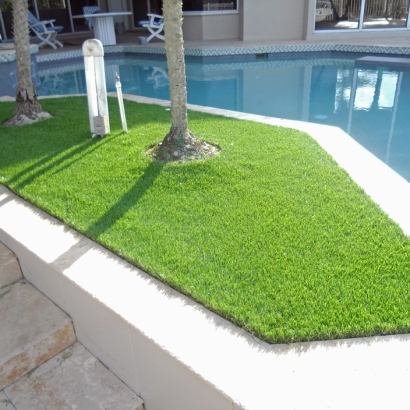 Synthetic Lawn Jacumba, California Landscape Photos, Backyard Landscaping Ideas