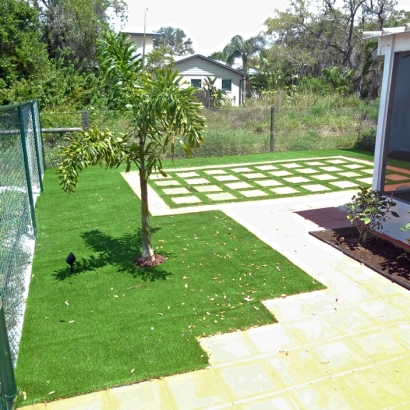 Synthetic Lawn Jamul, California Landscape Design, Backyard Makeover