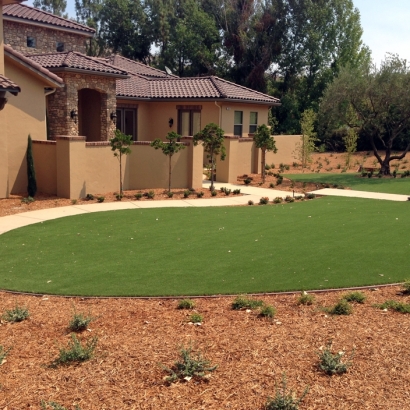 Synthetic Lawn Julian, California Backyard Deck Ideas, Small Front Yard Landscaping