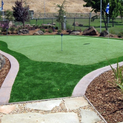 Synthetic Lawn La Jolla, California Landscaping, Backyard Design