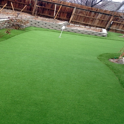 Synthetic Lawn Pine Valley, California Rooftop, Backyard Makeover