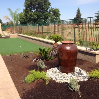 Synthetic Lawn Santee, California Rooftop, Backyard Landscaping Ideas