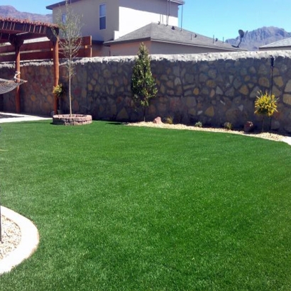 Synthetic Lawn Vista, California Landscape Photos, Backyard Designs