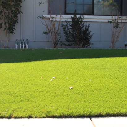 Synthetic Lawn Vista, California Roof Top, Front Yard Landscaping Ideas